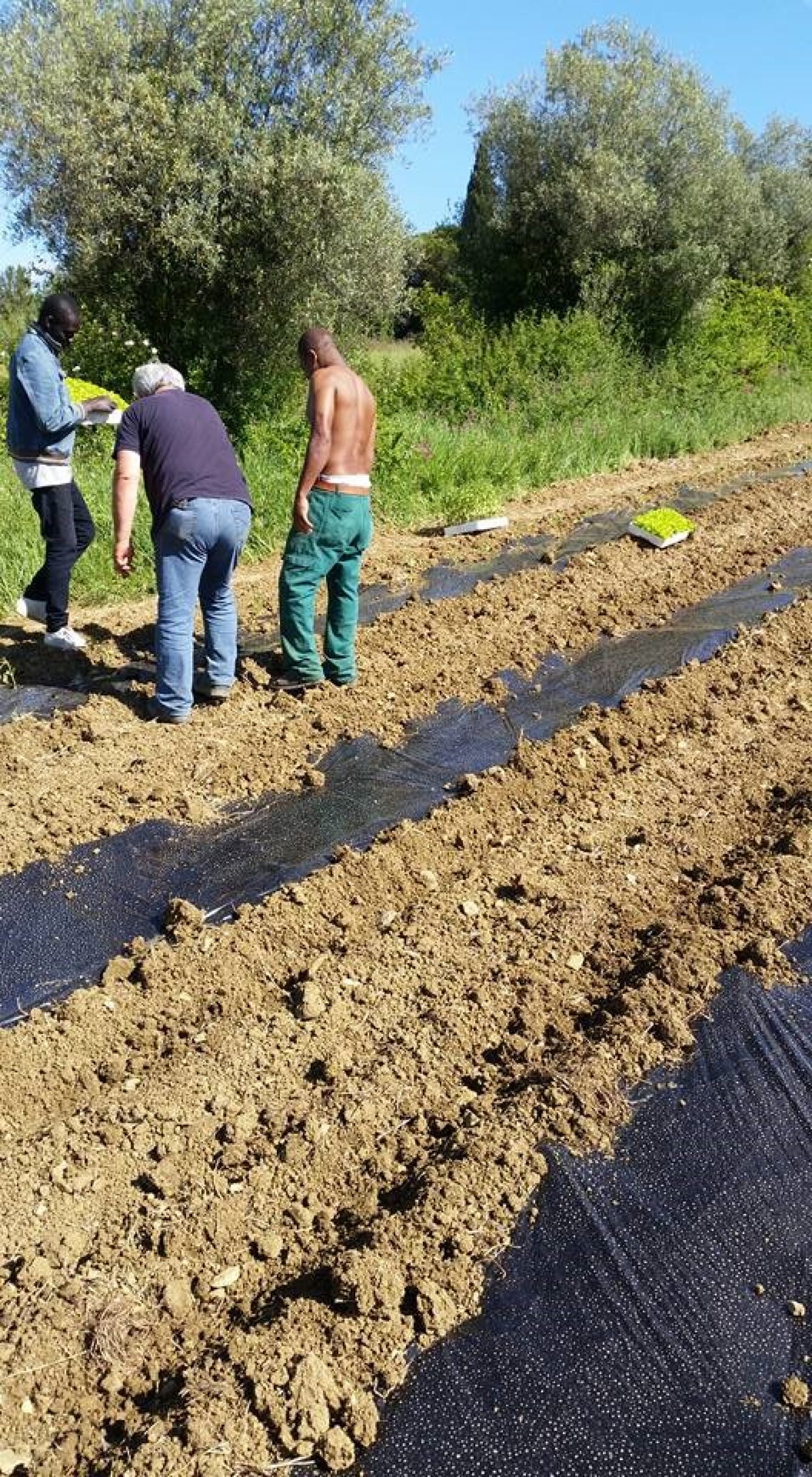 foto articolo 1